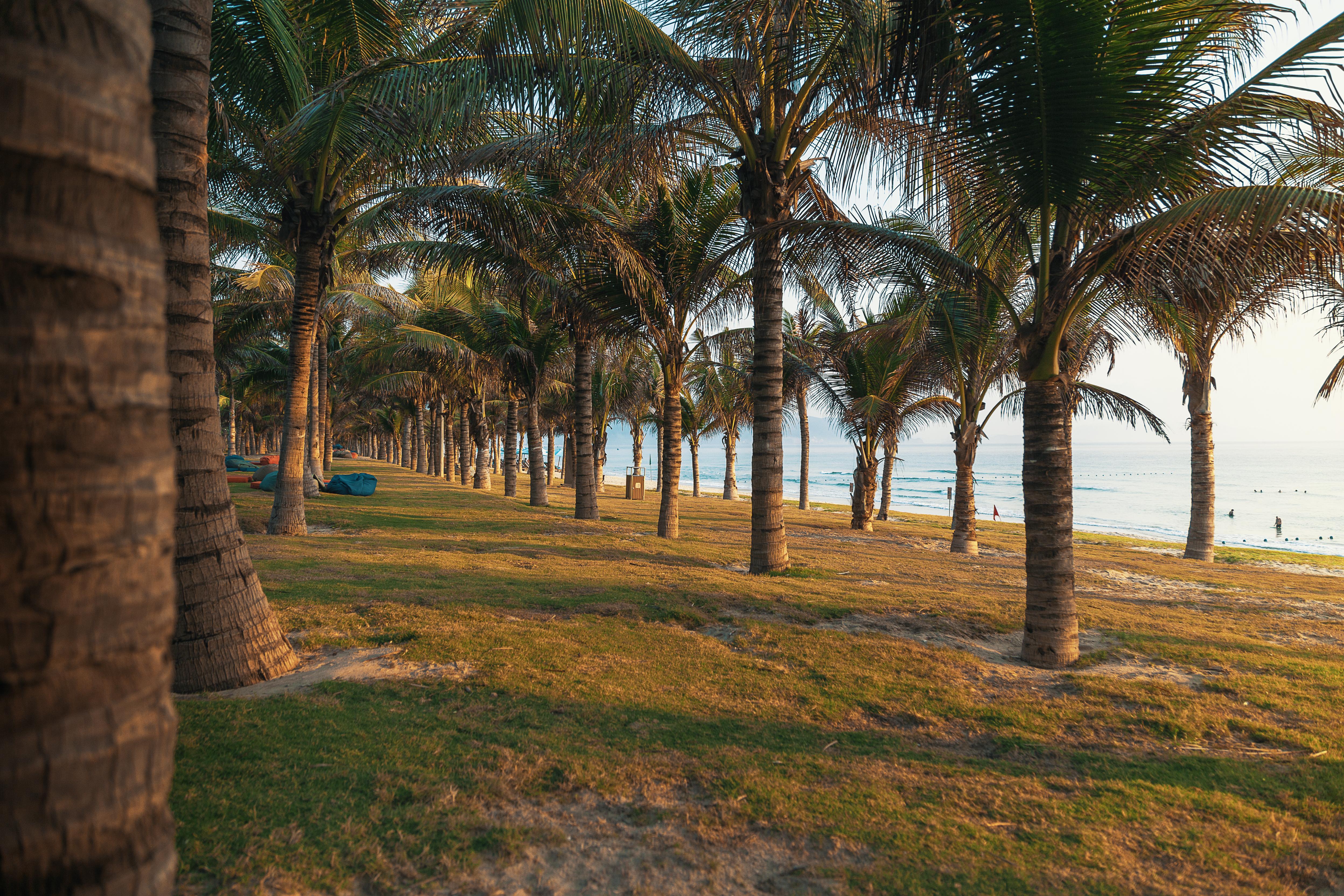 Duyen Ha Resort Cam Ranh Zewnętrze zdjęcie
